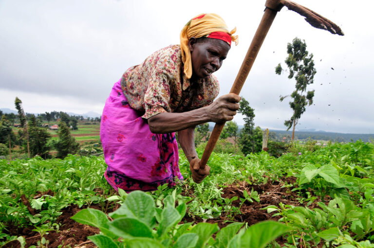 The Earth is the Lord’s: A Story of Stewardship and Redemption